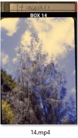 Box 14
